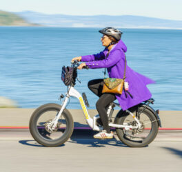 A woman rides an electric bicycle along the waterfront, wearing a purple coat and helmet, on a sunny day.