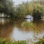 A car struggles through a flooded street surrounded by trees after a heavy rainstorm.